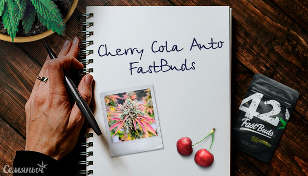 Гроурепорт сорта Cherry Cola Auto fem от FastBuds