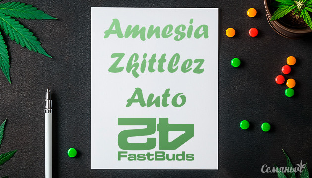 Гроурепорт сорта Amnesia Zkittlez Auto fem от FastBuds